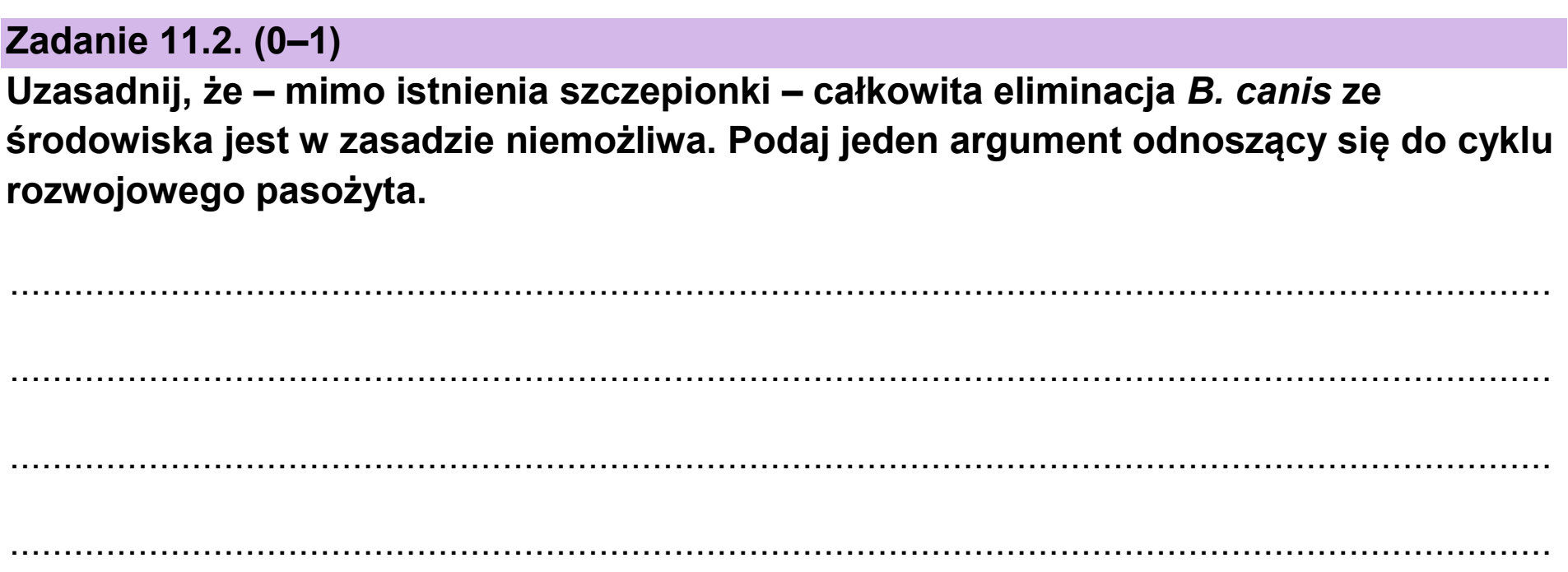Matura próbna, grudzien 2024, zadanie 11.2