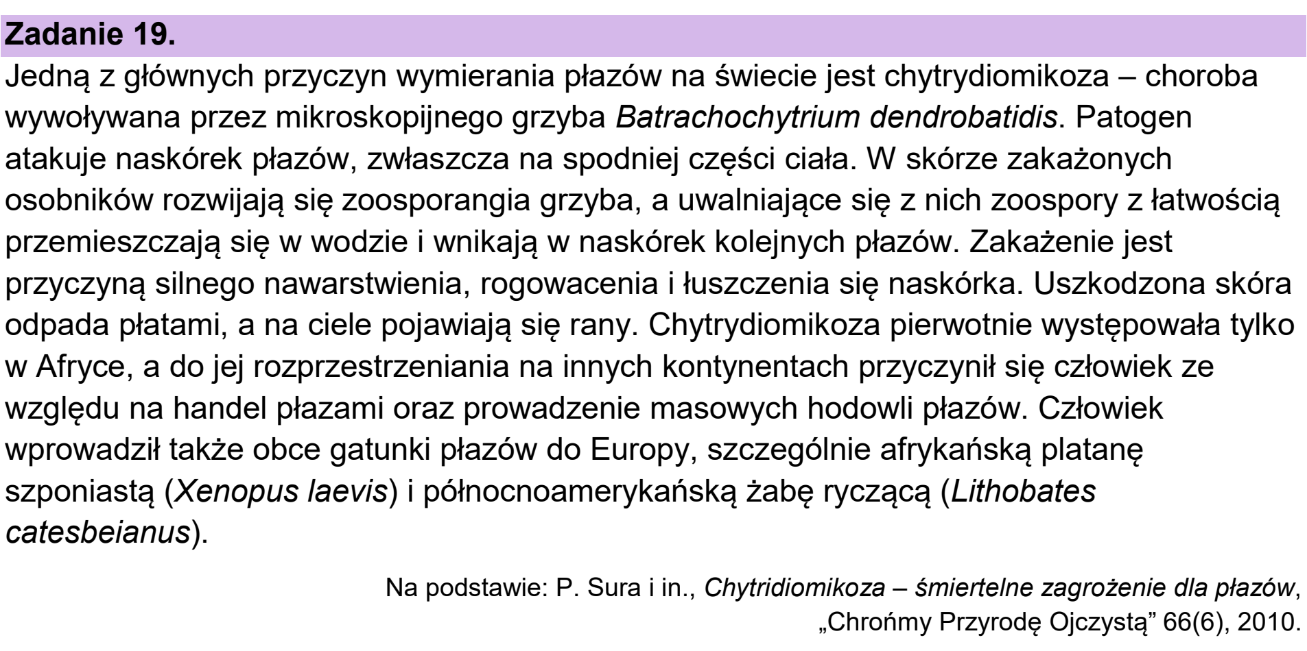 Matura próbna, grudzien 2024, wstęp zadania 19