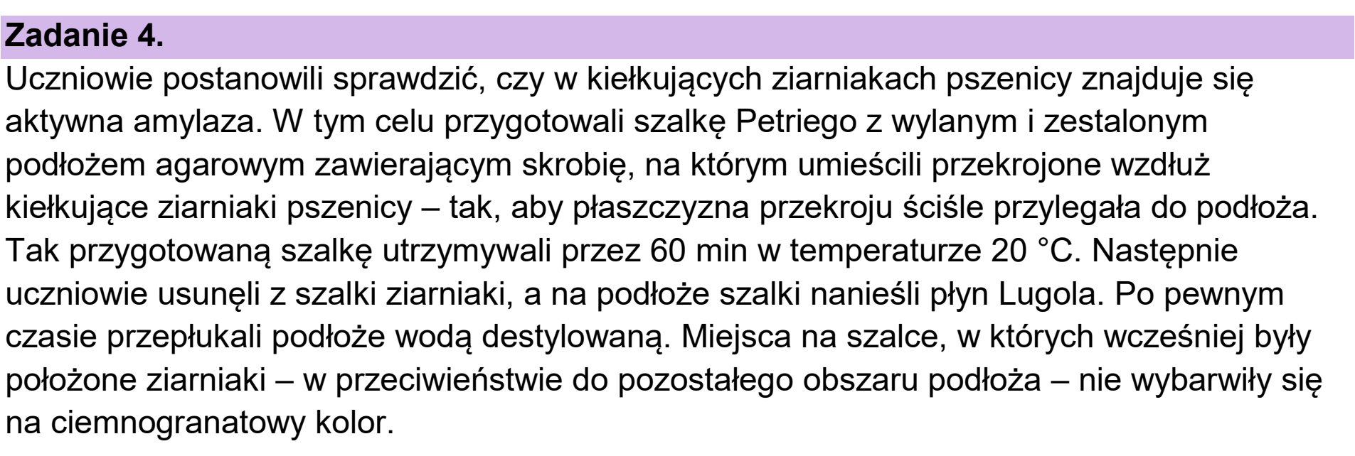 Matura próbna, grudzien 2024, wstęp zadania 4