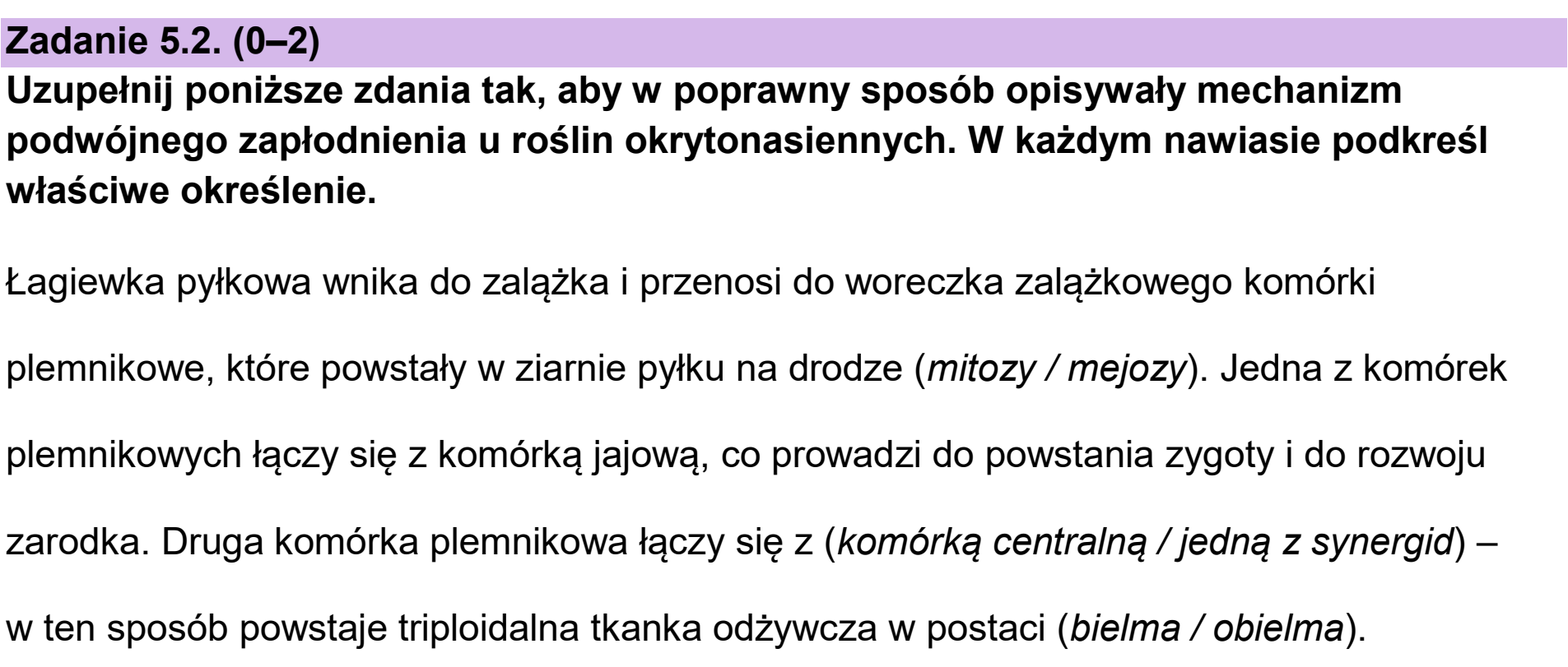Matura próbna, grudzien 2024, zadanie 5.2