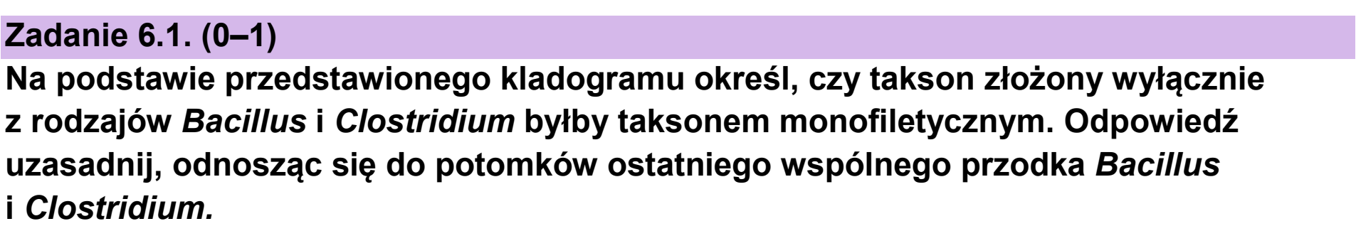 Matura próbna, grudzien 2024, zadanie 6.1