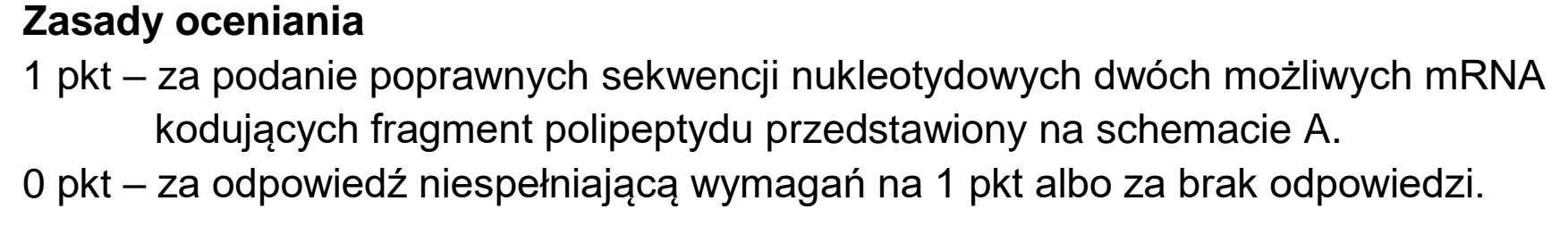 Matura, maj 2023, odpowiedź do zadania 14.2