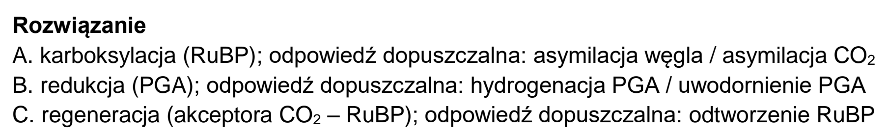 Matura, maj 2023, odpowiedź do zadania 5.1, fragment 2