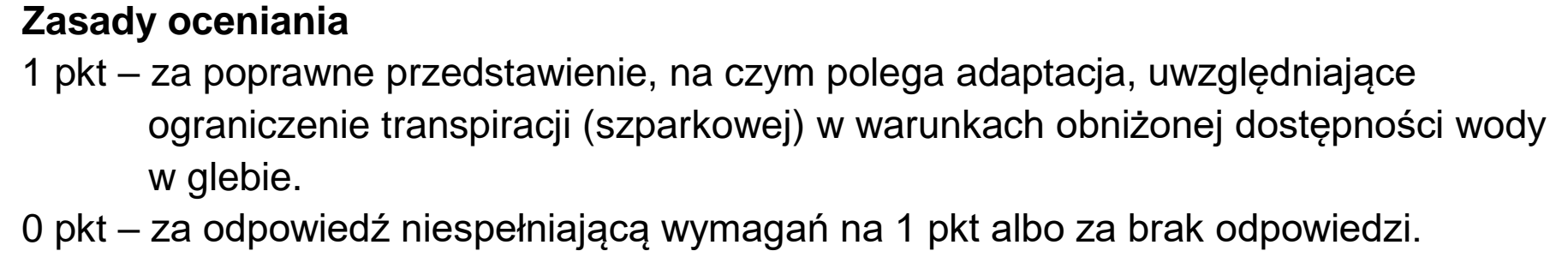 Matura, maj 2023, odpowiedź do zadania 6.2