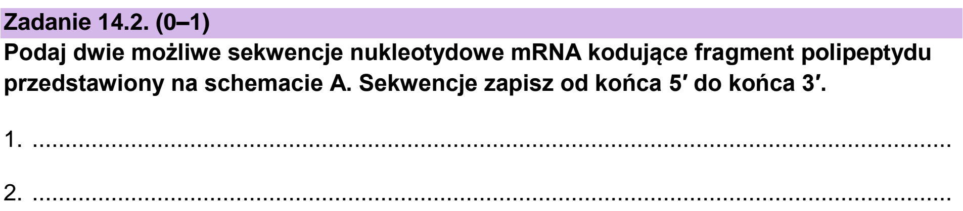 Matura, maj 2023, zadanie 14.2