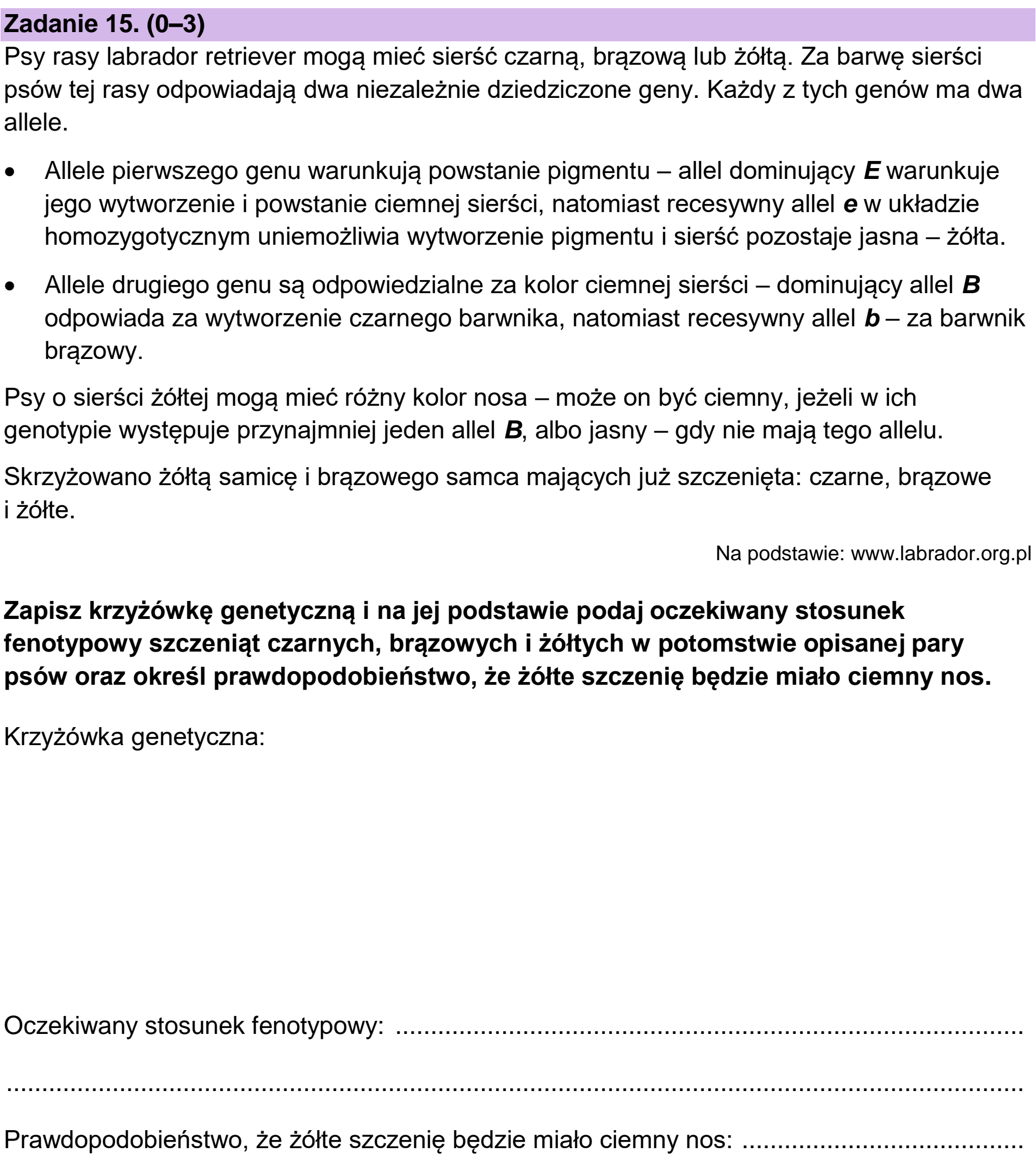 Matura, maj 2023, podgląd zadania 15