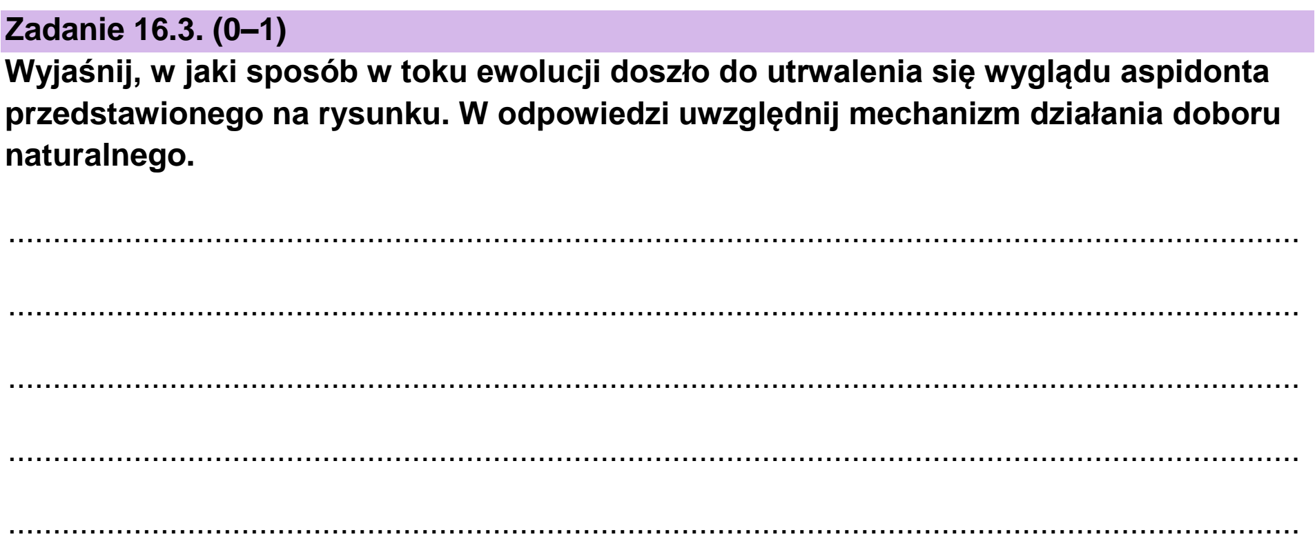Matura, maj 2023, zadanie 16.3