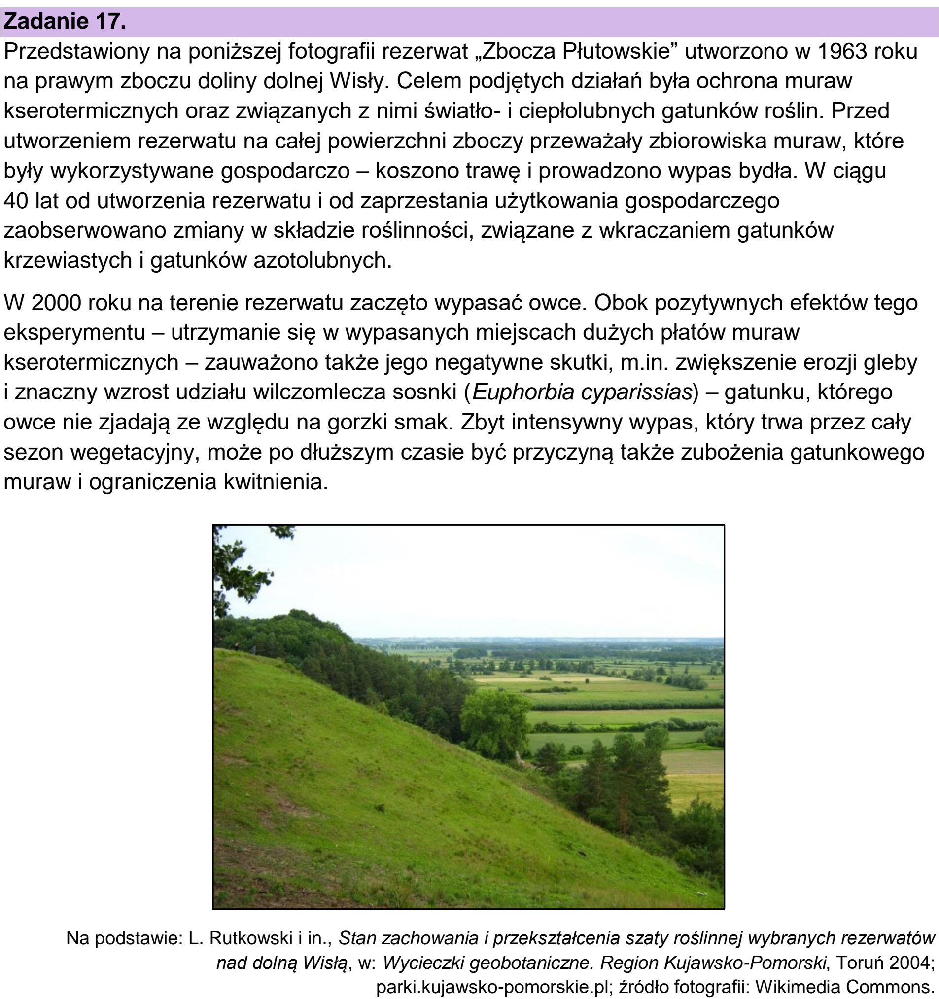 Matura, maj 2023, wstęp zadania 17