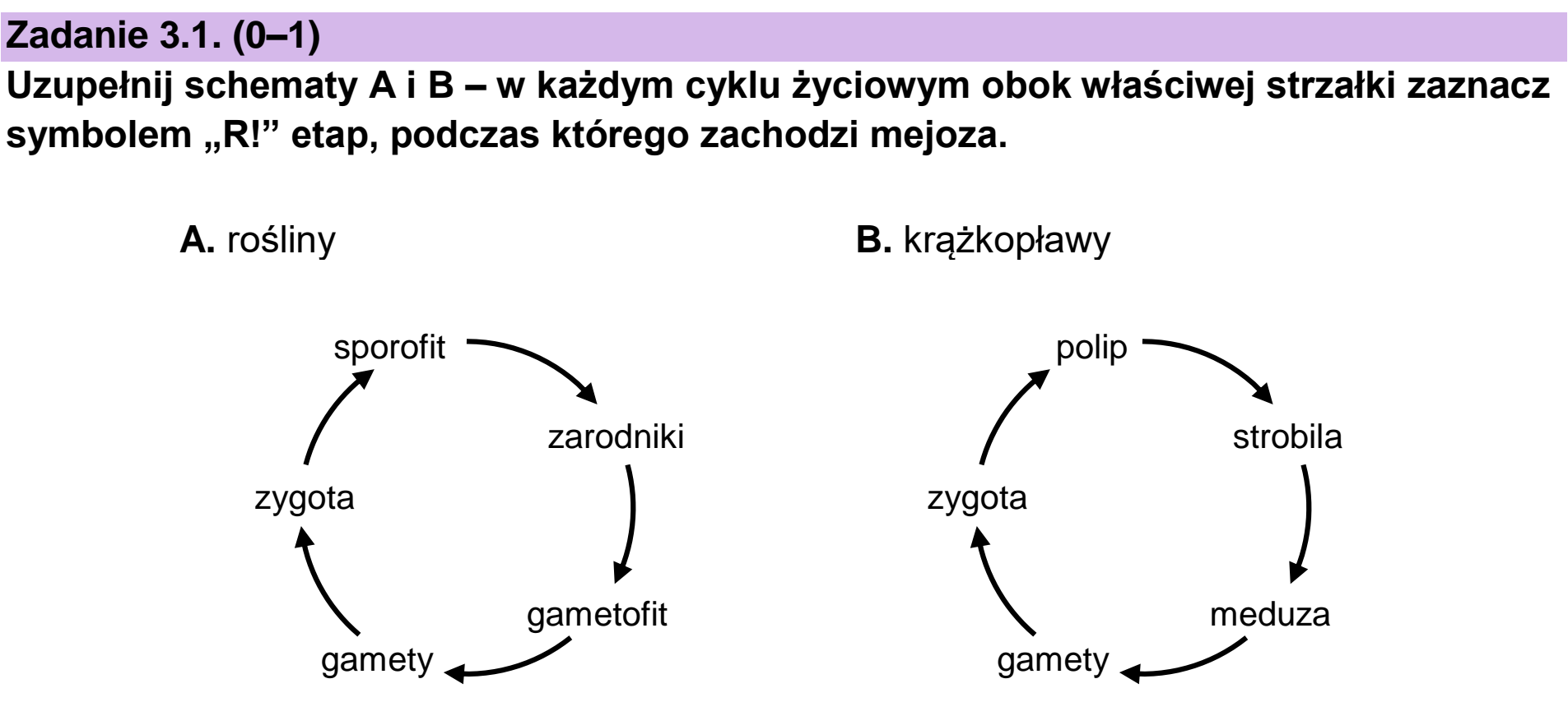 Matura, maj 2023, zadanie 3.1