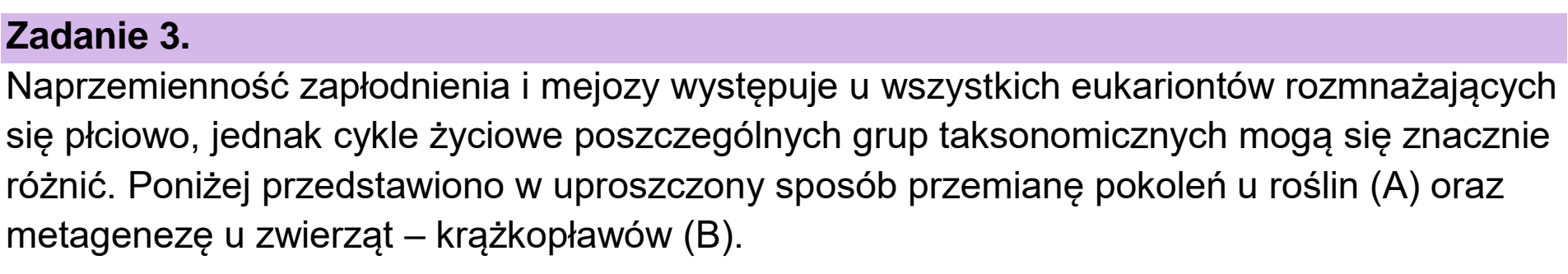 Matura, maj 2023, wstęp zadania 3