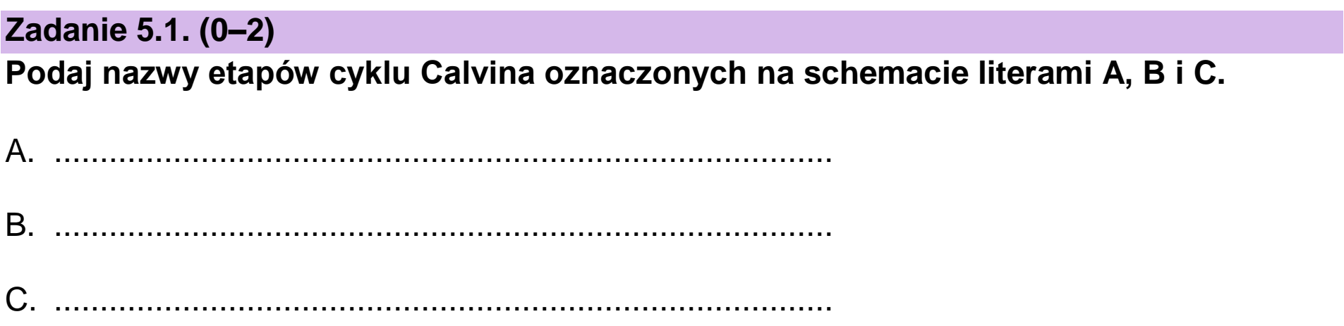 Matura, maj 2023, zadanie 5.1