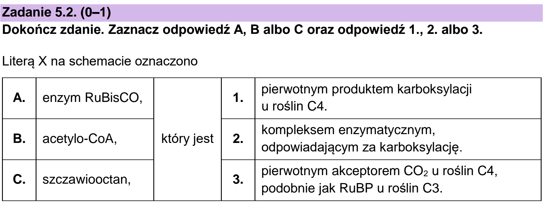 Matura, maj 2023, zadanie 5.2