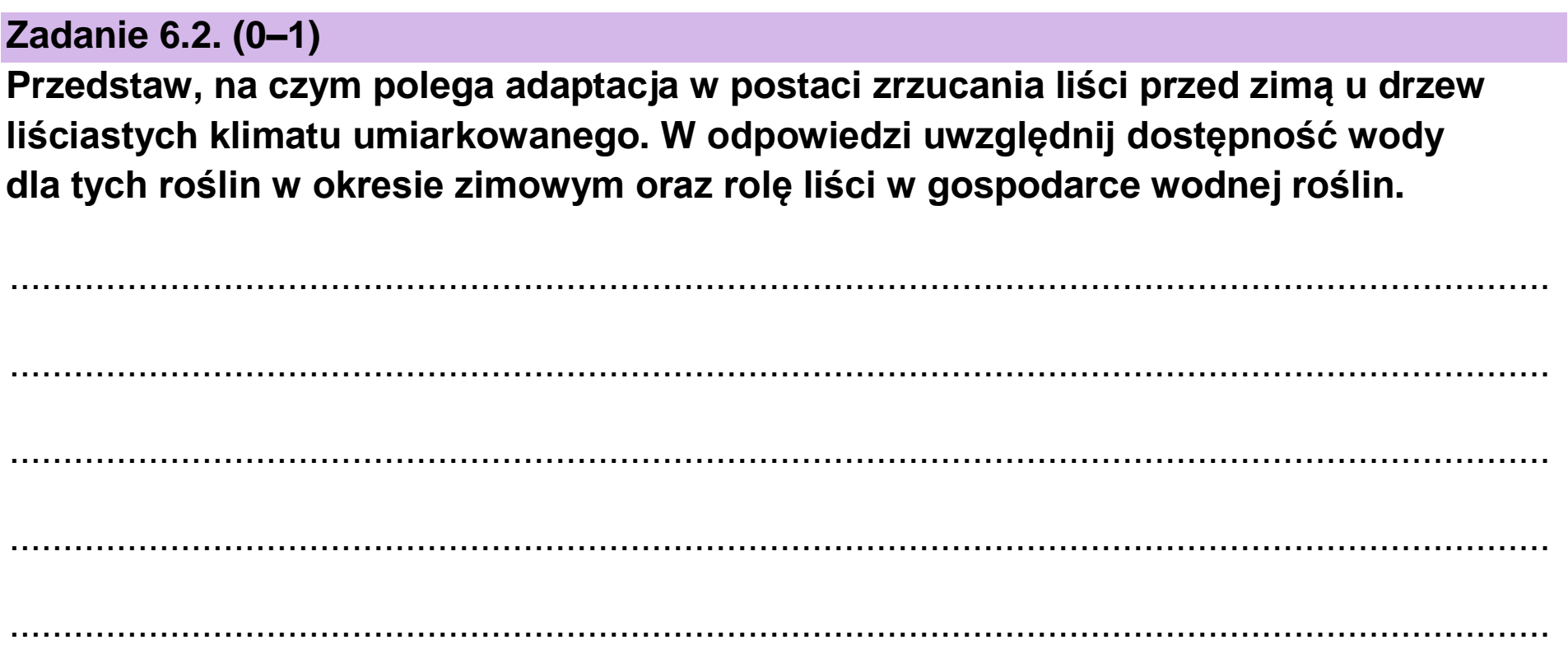 Matura, maj 2023, zadanie 6.2