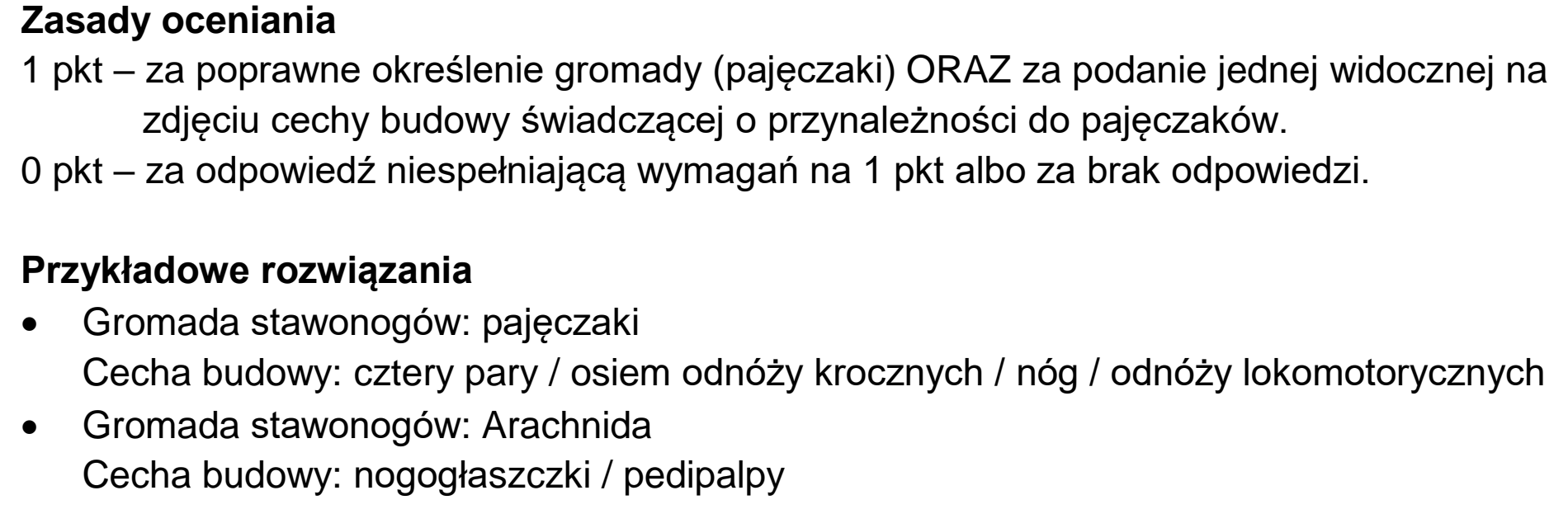 Matura, maj 2024, odpowiedź do zadania 14.1, fragment 1
