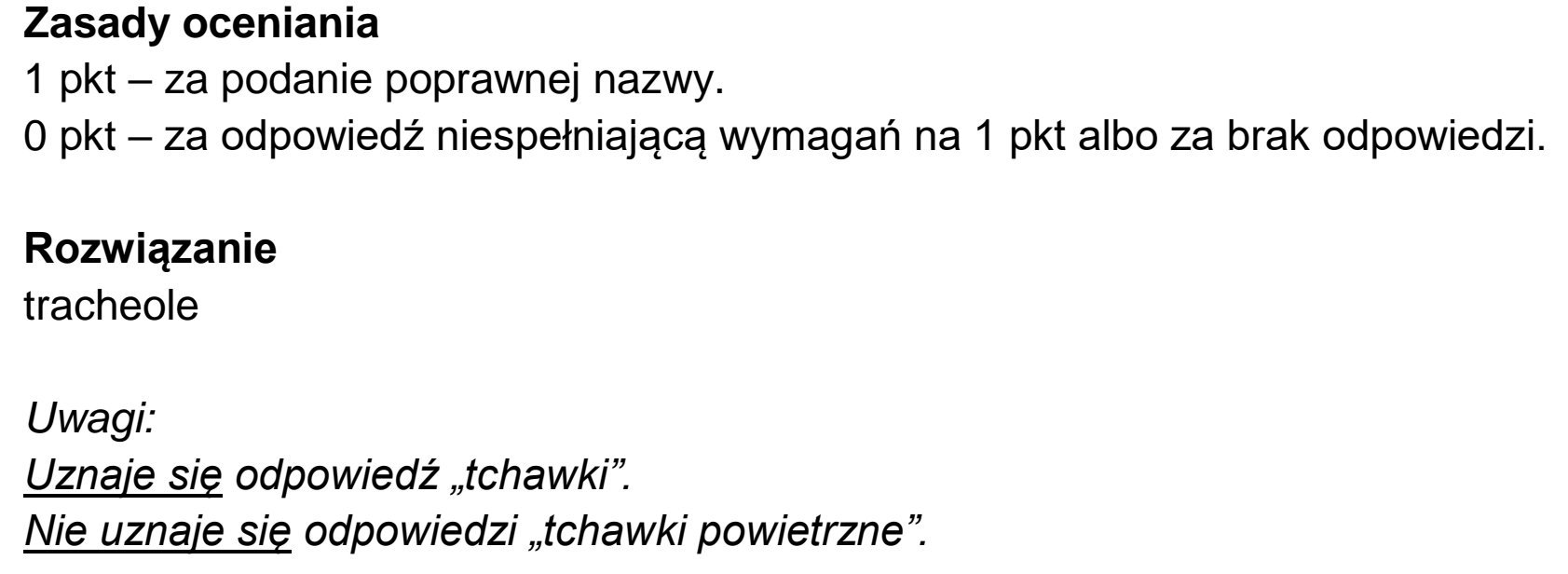 Matura, maj 2024, odpowiedź do zadania 3.3