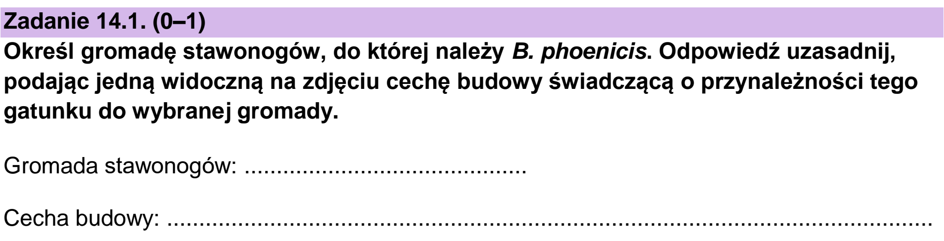 Matura, maj 2024, zadanie 14.1