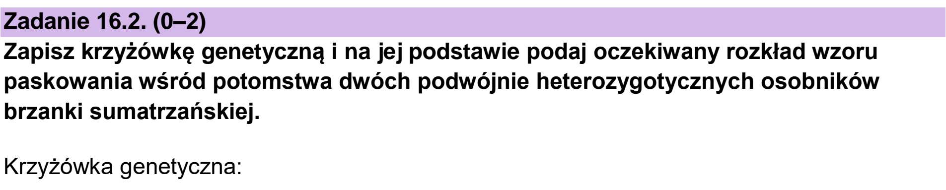 Matura, maj 2024, zadanie 16.2