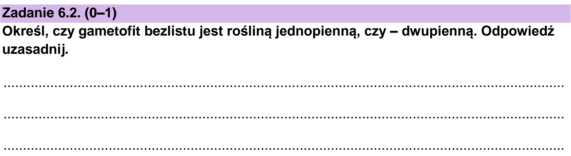 Matura, maj 2024, zadanie 6.2