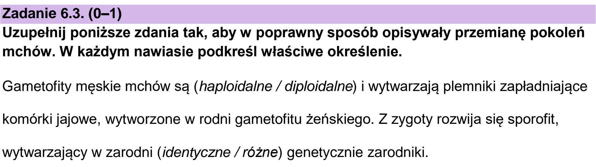 Matura, maj 2024, zadanie 6.3