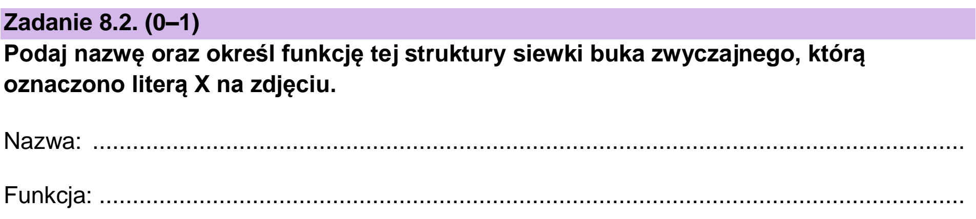 Matura, maj 2024, zadanie 8.2