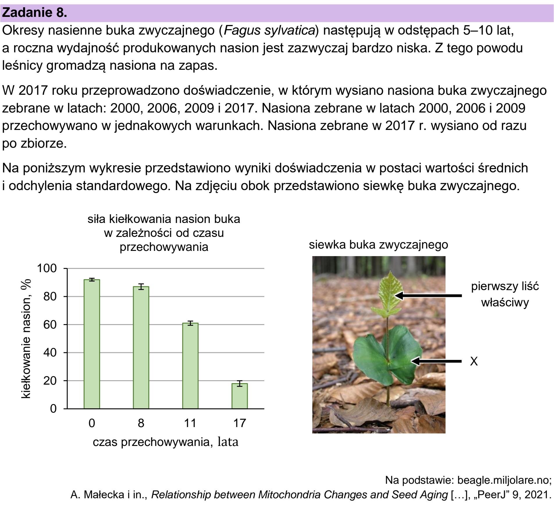 Matura, maj 2024, wstęp zadania 8