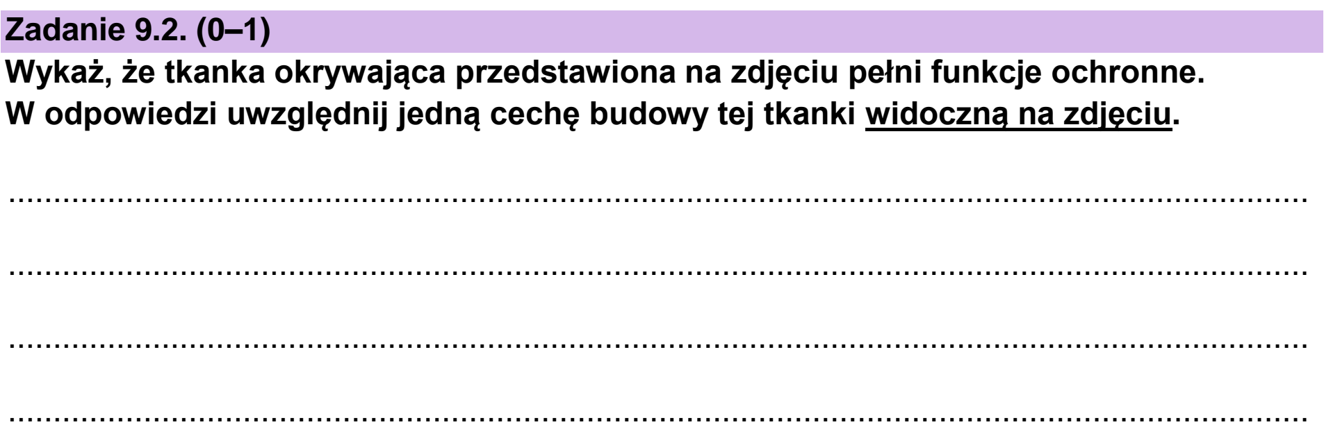 Matura, maj 2024, zadanie 9.2
