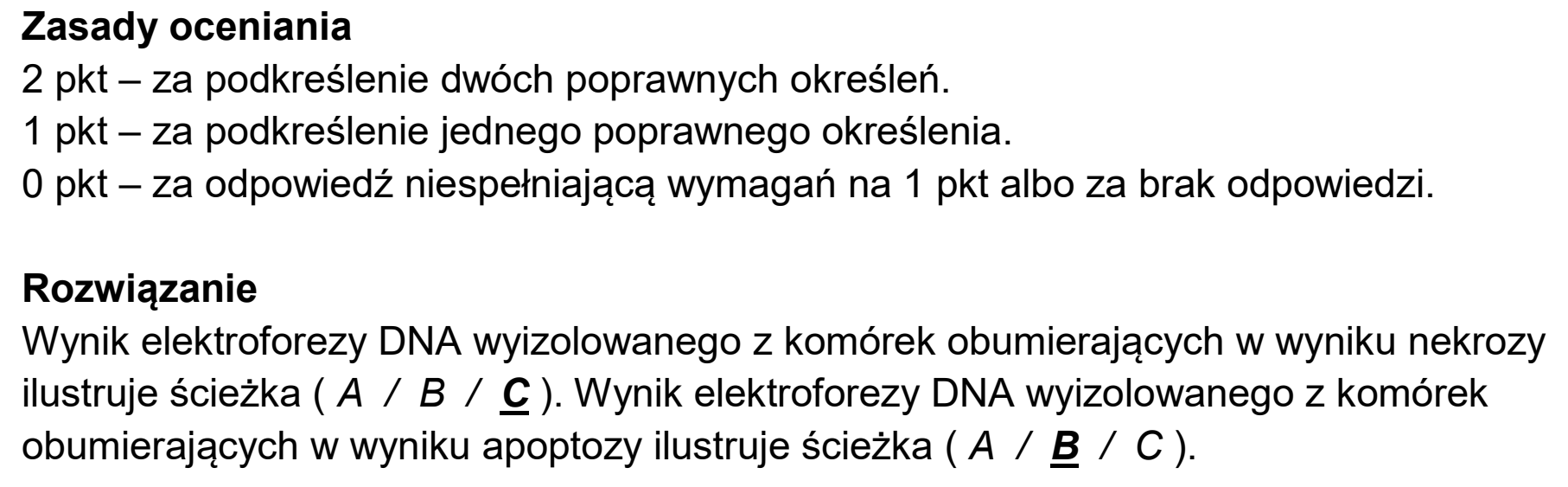 Matura, maj 2025, odpowiedź do zadania 15