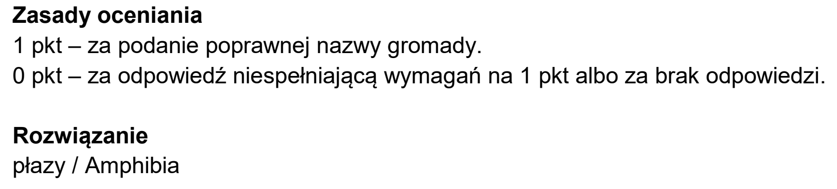 Matura, maj 2025, odpowiedź do zadania 8.1