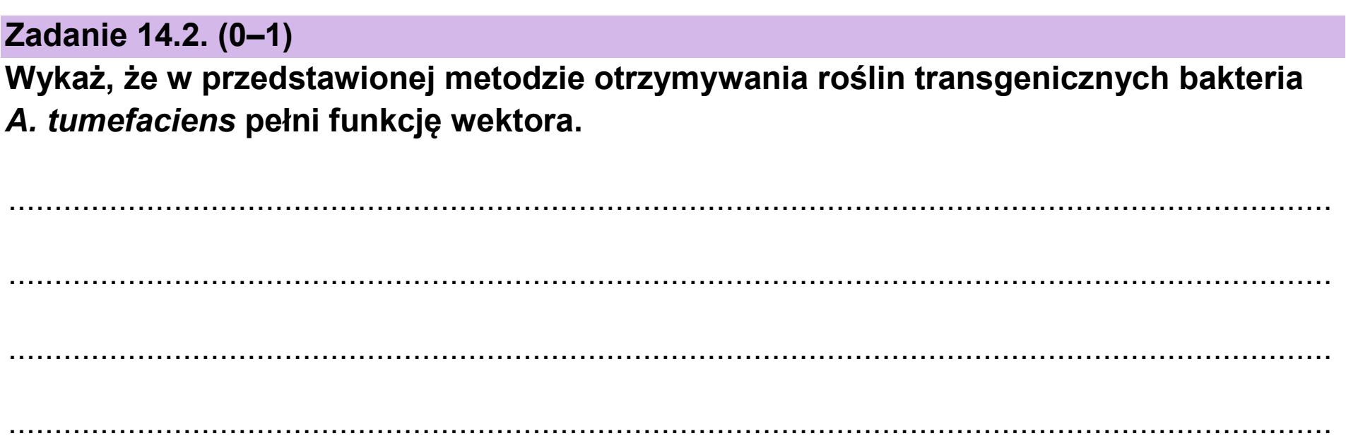 Matura, maj 2025, zadanie 14.2