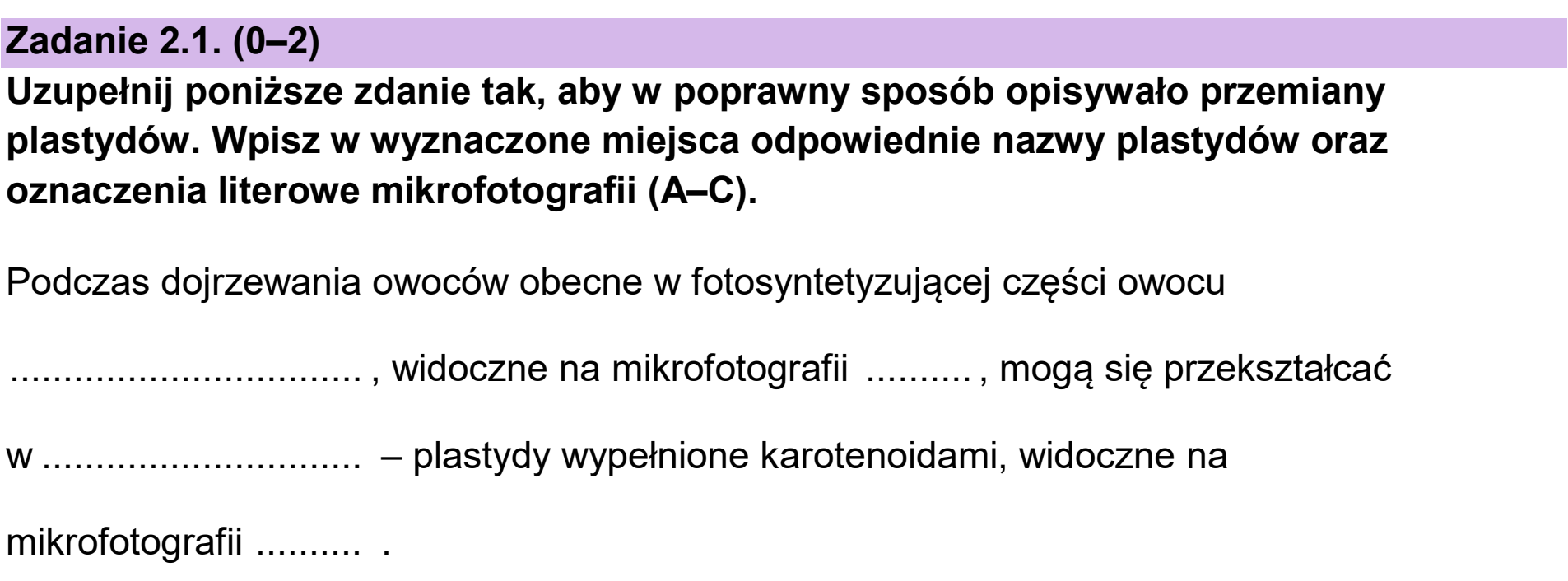 Matura, maj 2025, zadanie 2.1