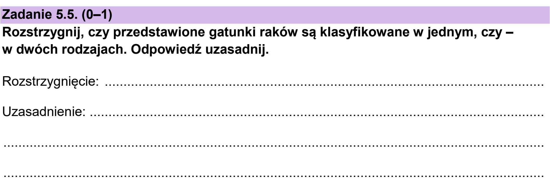 Matura, maj 2025, zadanie 5.5