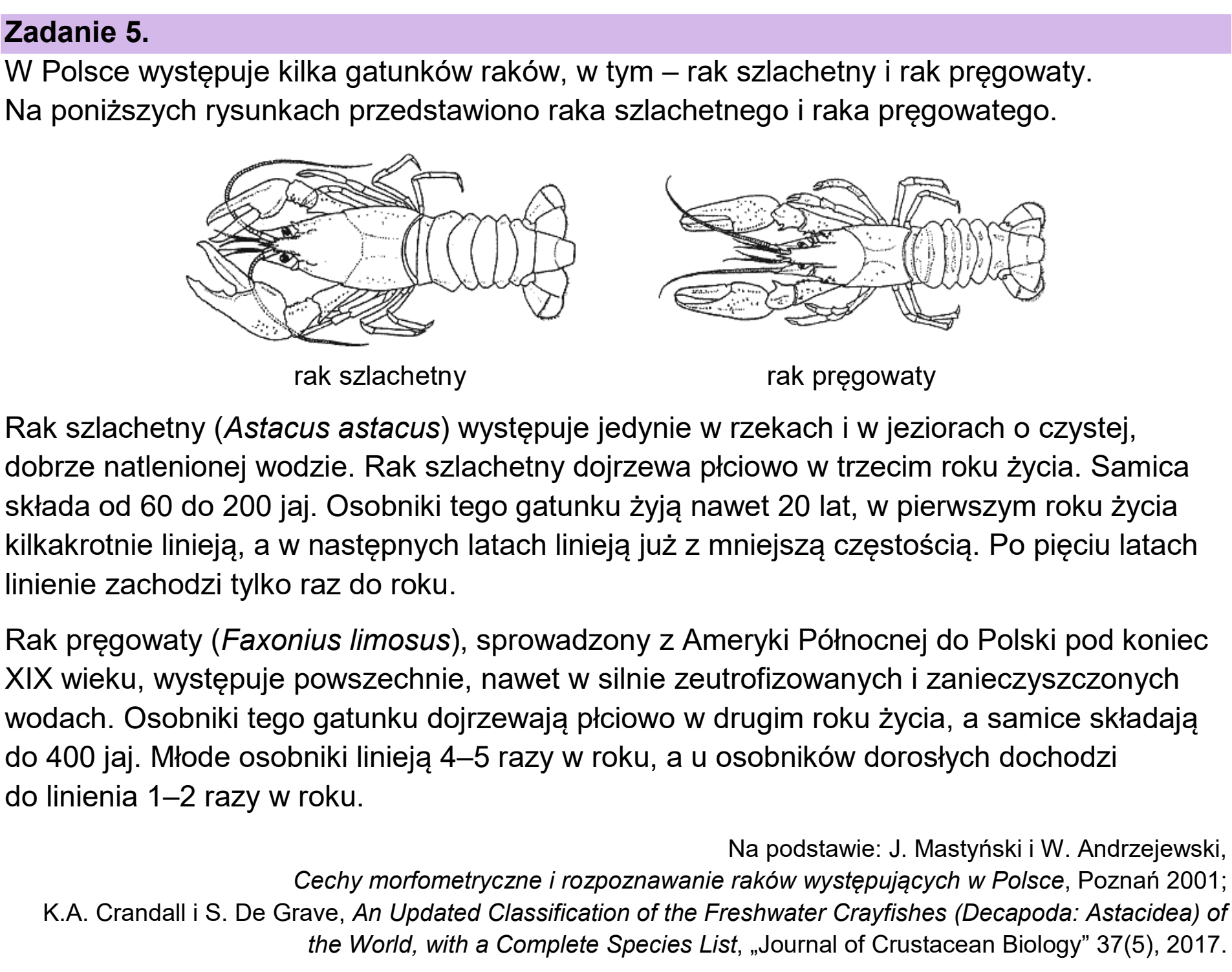 Matura, maj 2025, wstęp zadania 5