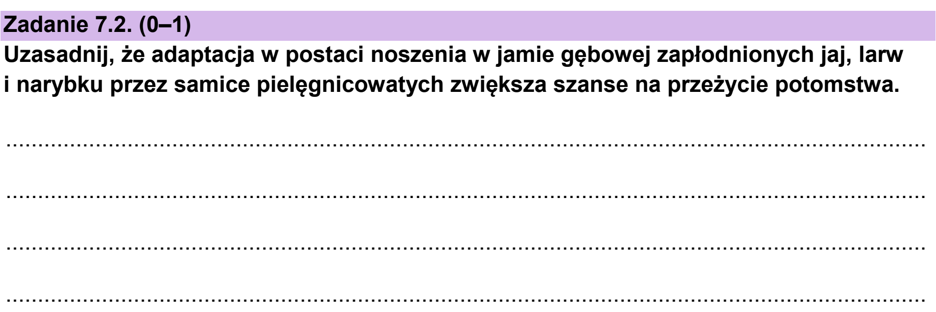 Matura, maj 2025, zadanie 7.2