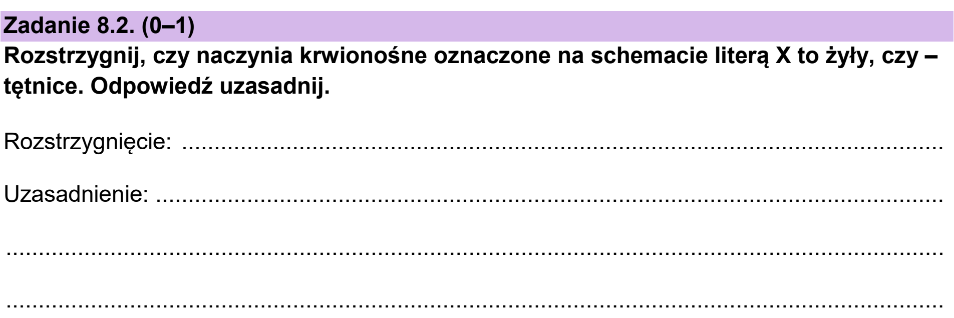 Matura, maj 2025, zadanie 8.2
