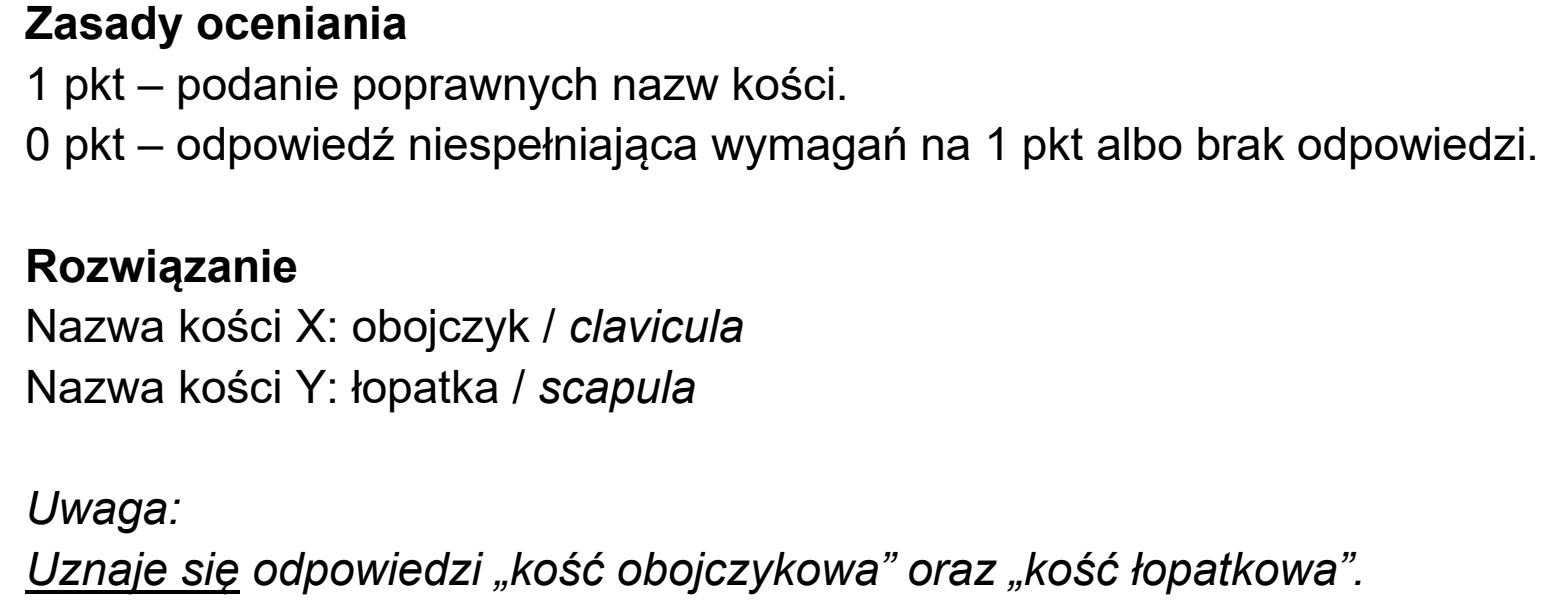 Matura, maj 2026, odpowiedź do zadania 9