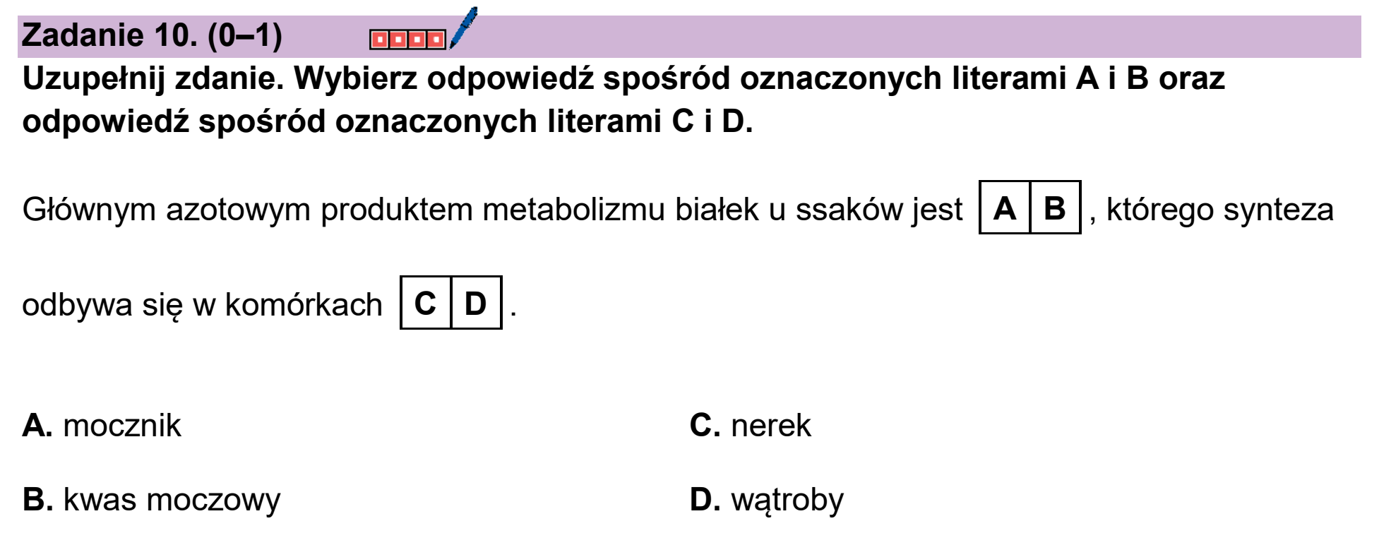 Matura, maj 2026, podgląd zadania 10