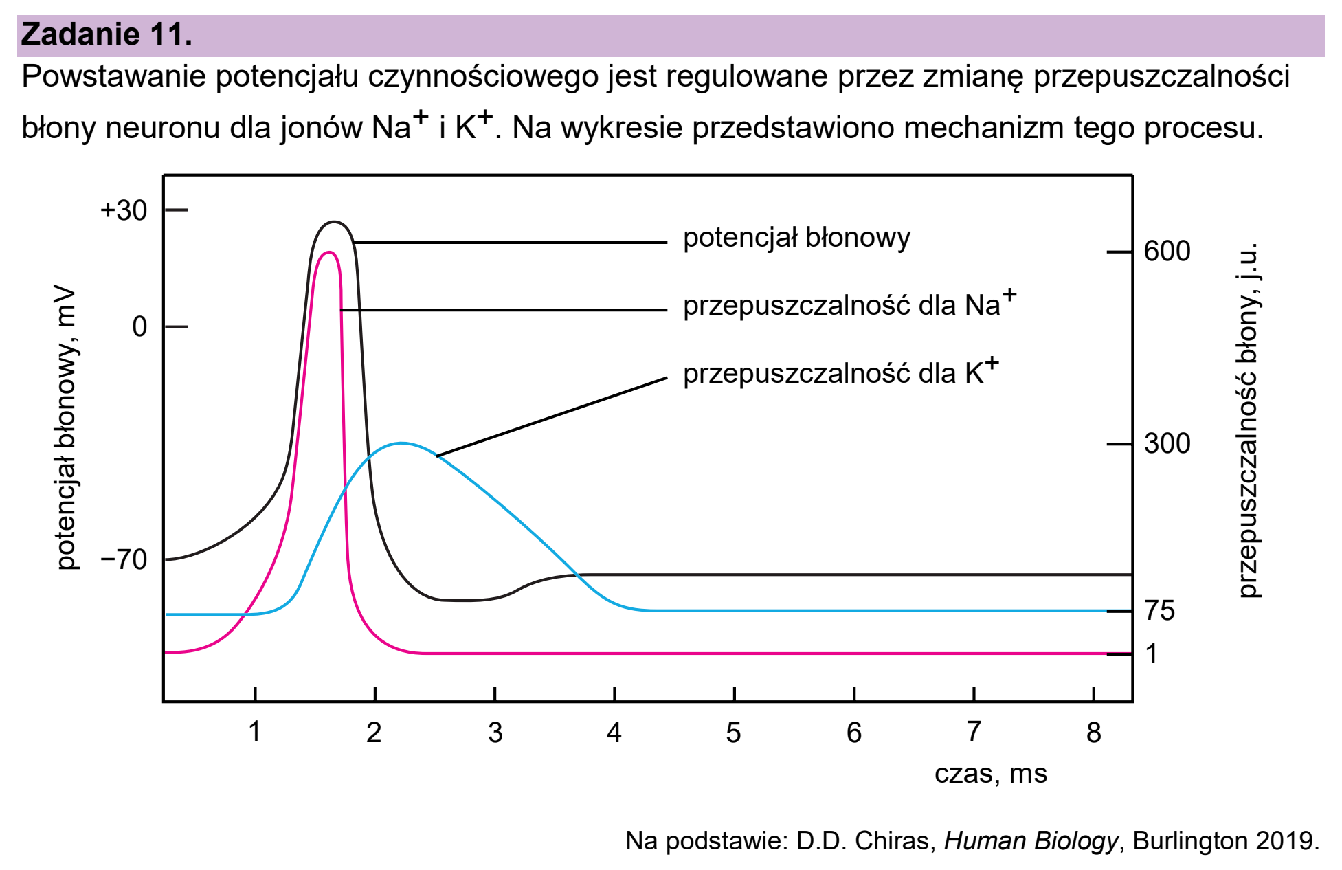 Matura, maj 2026, wstęp zadania 11