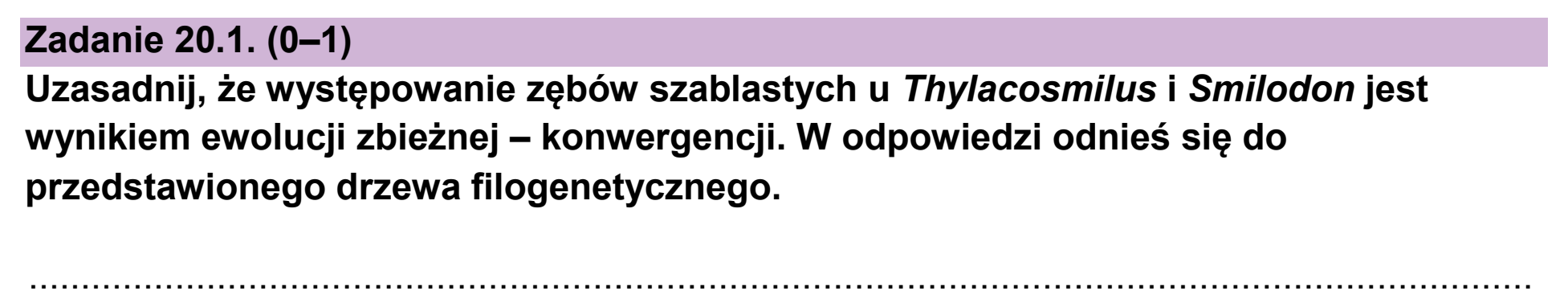 Matura, maj 2026, zadanie 20.1