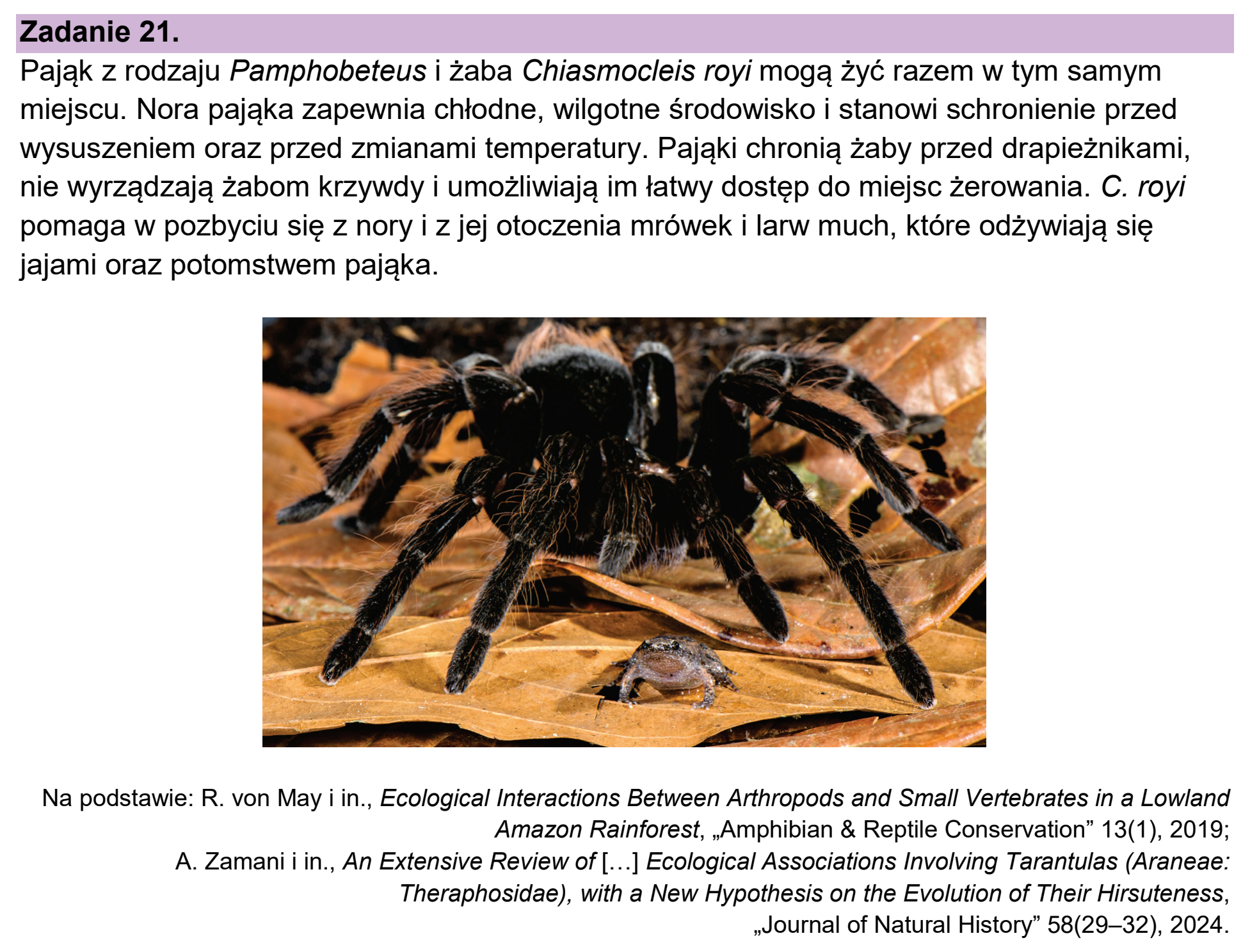 Matura, maj 2026, wstęp zadania 21