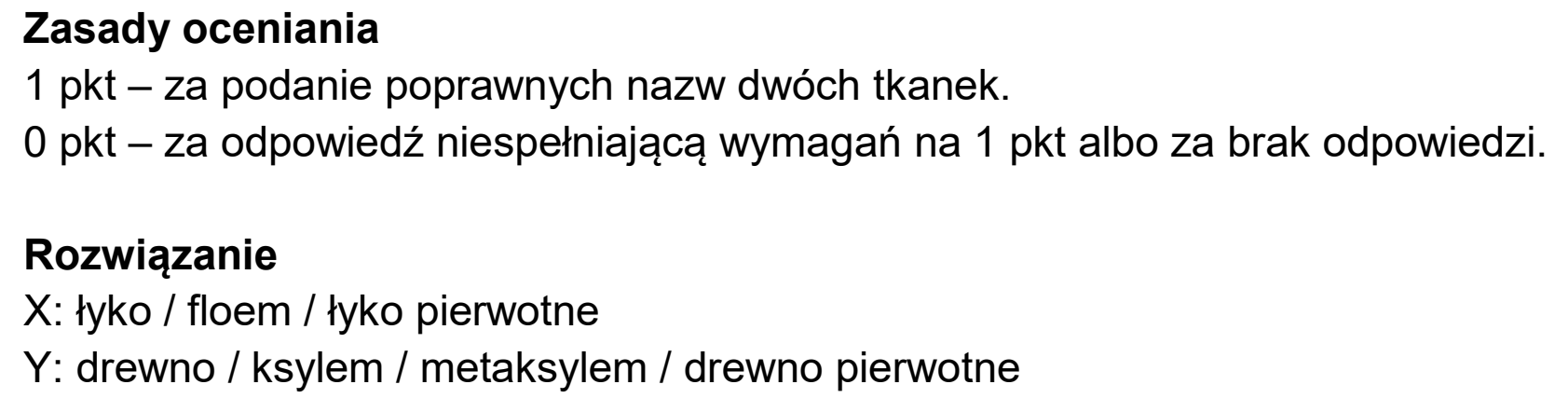 Matura próbna, styczen 2026, odpowiedź do zadania 4.1