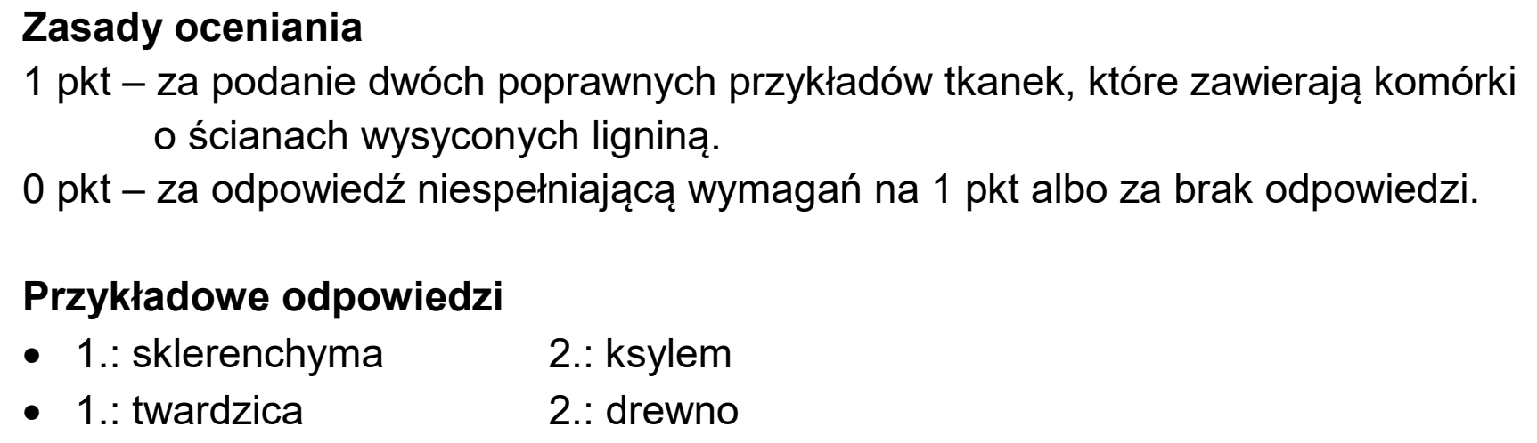 Matura próbna, styczen 2026, odpowiedź do zadania 4.4