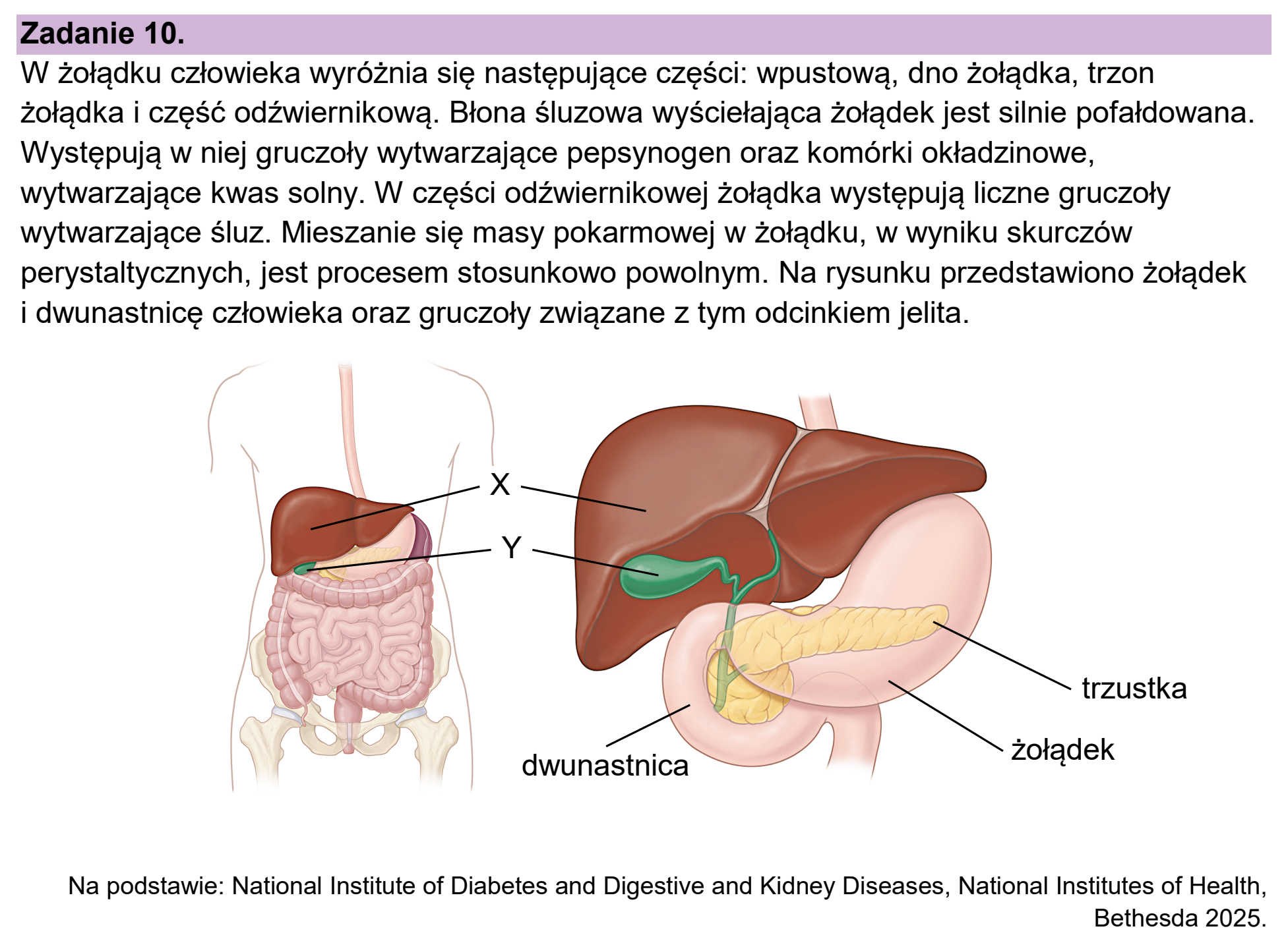 Matura próbna, styczen 2026, wstęp zadania 10