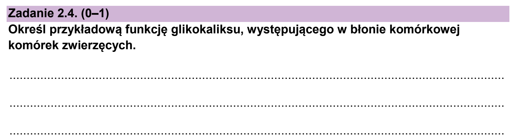 Matura próbna, styczen 2026, zadanie 2.4