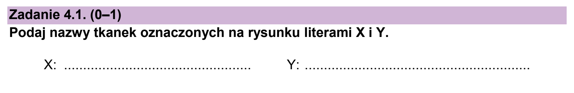 Matura próbna, styczen 2026, zadanie 4.1