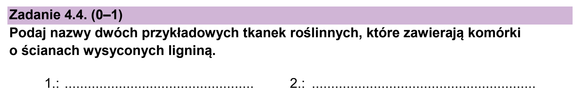 Matura próbna, styczen 2026, zadanie 4.4