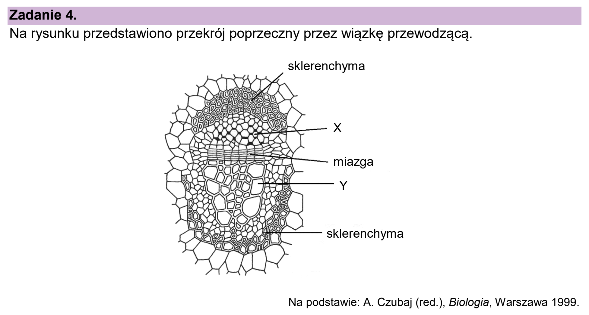 Matura próbna, styczen 2026, wstęp zadania 4