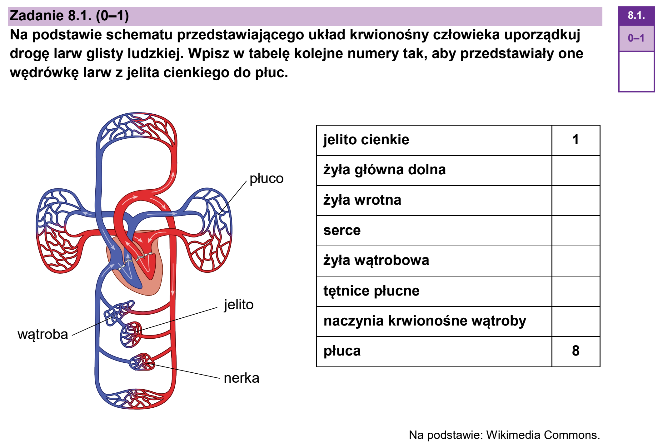 Matura próbna, styczen 2026, zadanie 8.1