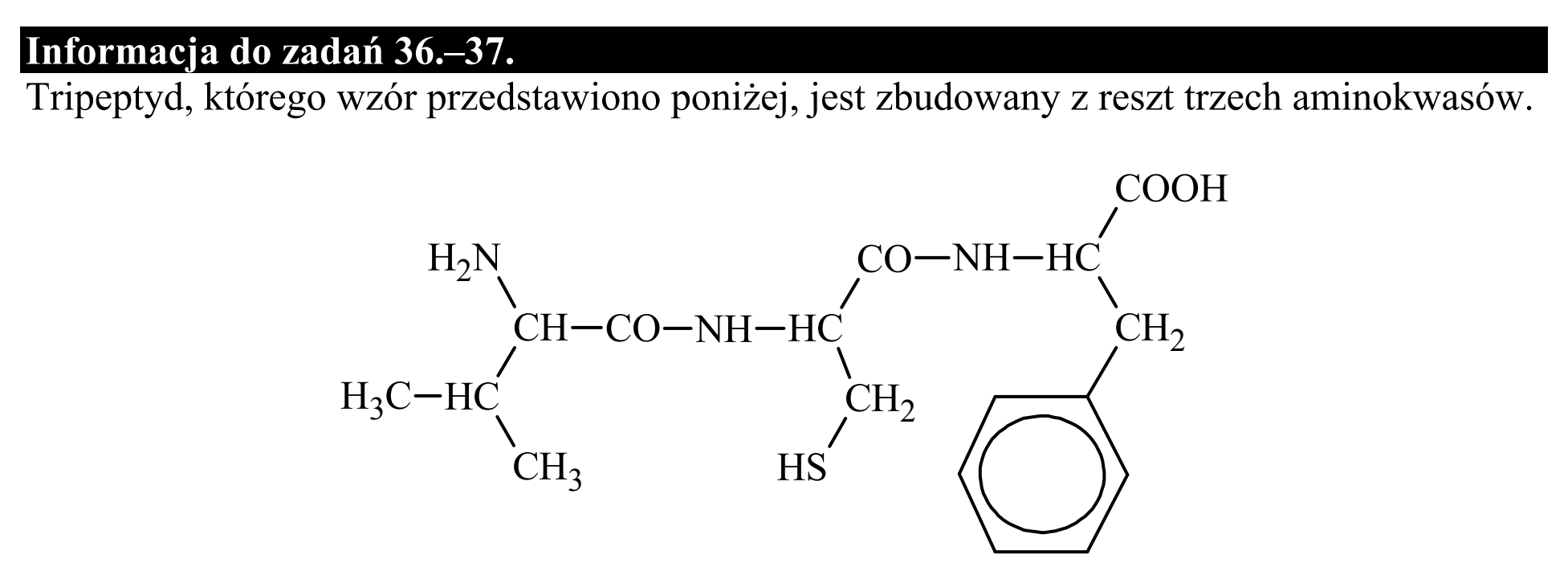 Matura dodatkowa, czerwiec 2018, zadanie 35.2, fragment 2