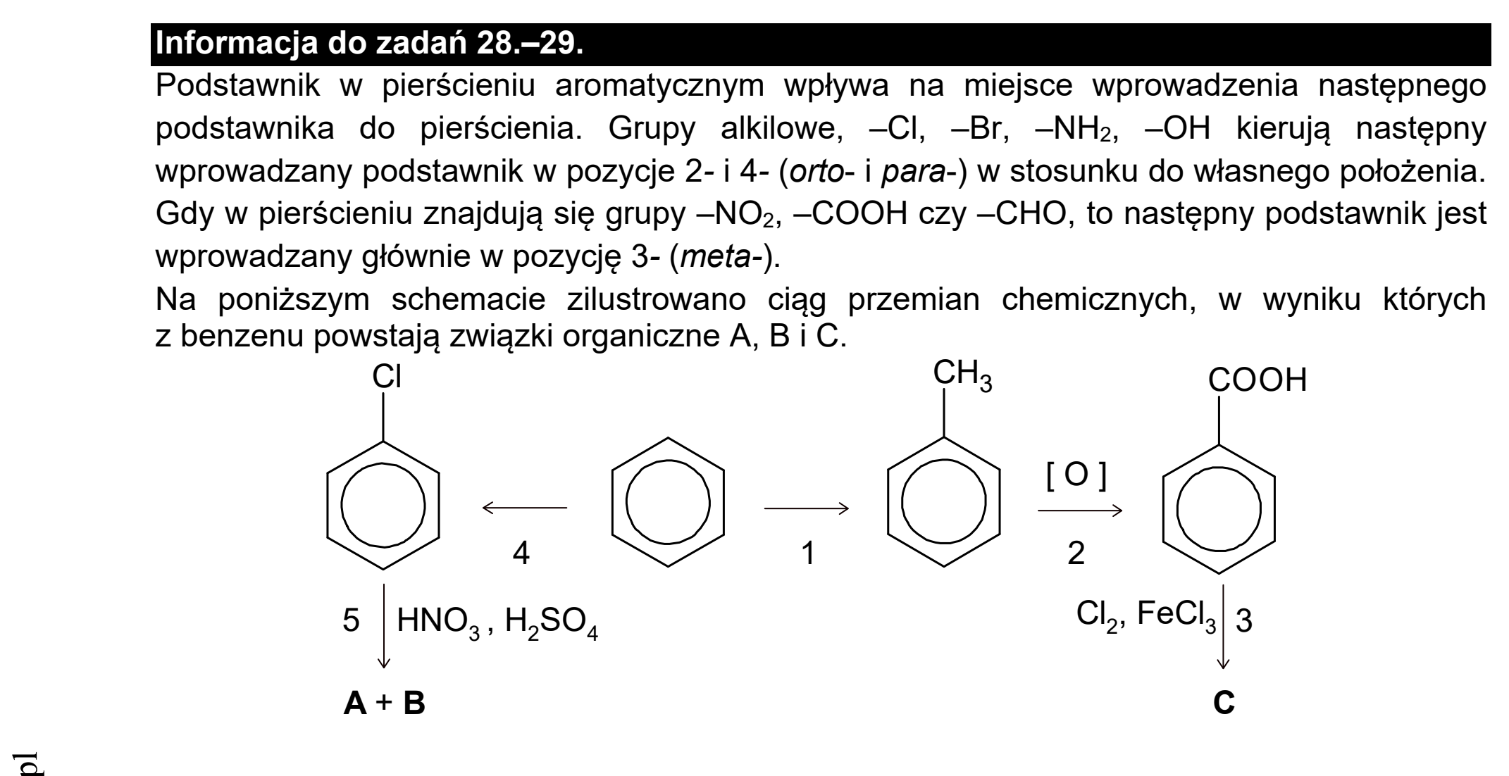 Matura dodatkowa, czerwiec 2021, podgląd zadania 27, fragment 2