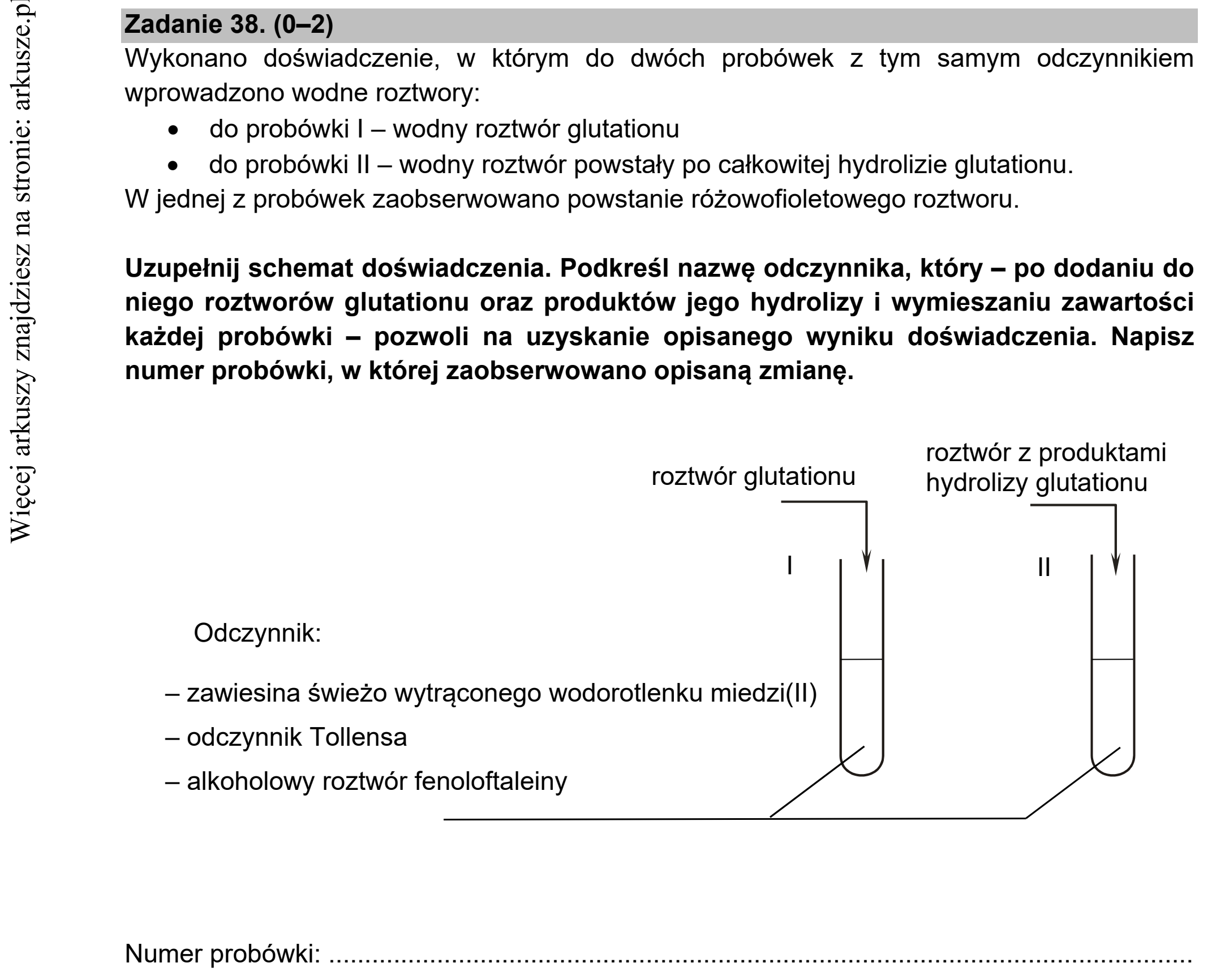 Matura dodatkowa, czerwiec 2021, podgląd zadania 38